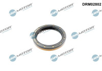 Oil seal, differential