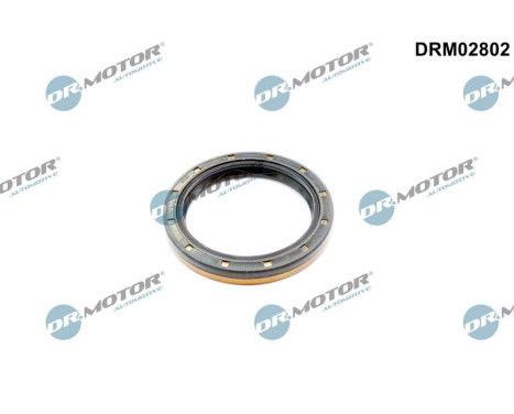 Oil seal, differential