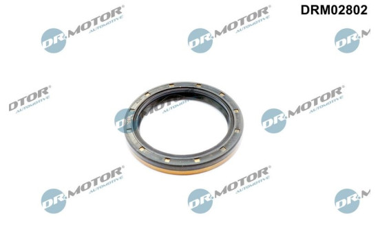 Oil seal, differential