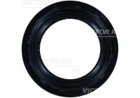 Oil seal, differential