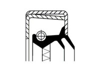 Oil seal, differential