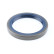 Oil seal, differential, Thumbnail 2