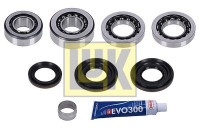 Repair Kit, differential LuK GearBOX