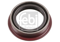 seal 180699 FEBI