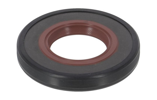 Seal, differential NA5490 Payen
