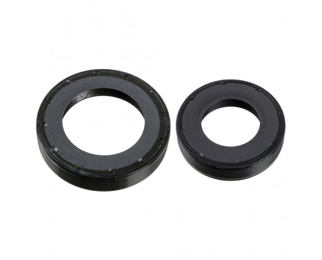 Shaft Seal, differential 173279 FEBI