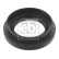 Shaft Seal, differential 48272 FEBI, Thumbnail 2