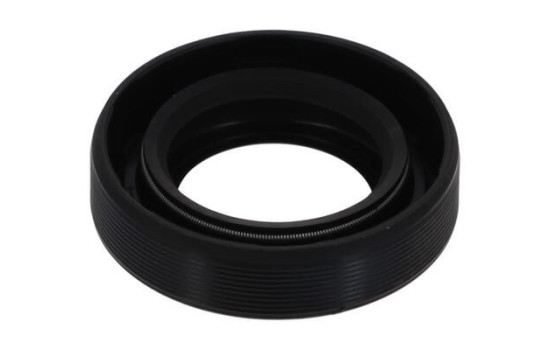 Shaft Seal, differential NA5204 Payen