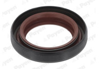 Shaft Seal, differential NA5205 Payen