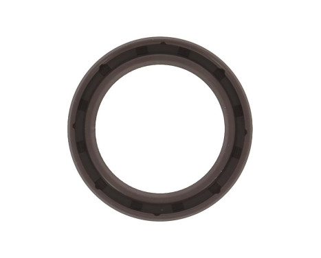 Shaft Seal, differential NC048 Payen