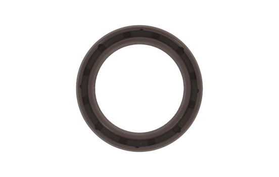 Shaft Seal, differential NC048 Payen