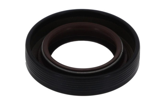 Shaft Seal, differential NF825 Payen