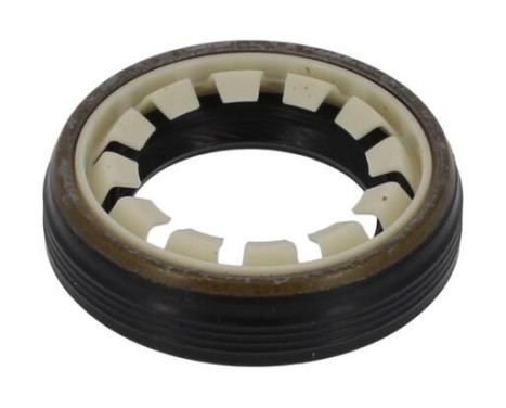 Shaft Seal, differential NF826 Payen