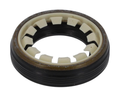 Shaft Seal, differential NF826 Payen