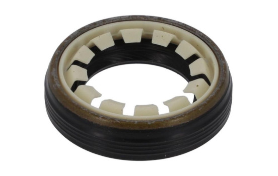 Shaft Seal, differential NF826 Payen