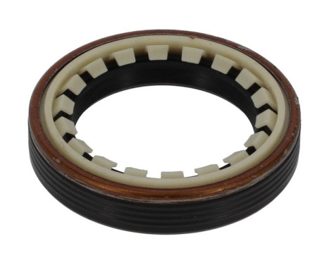 Shaft Seal, differential NF836 Payen