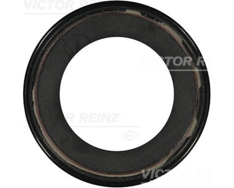 Shaft Seal, differential