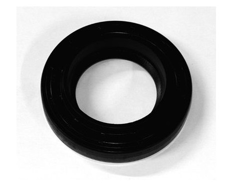 Shaft Seal, differential