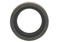 Shaft Seal, differential