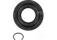 Shaft Seal, differential