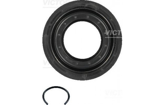 Shaft Seal, differential