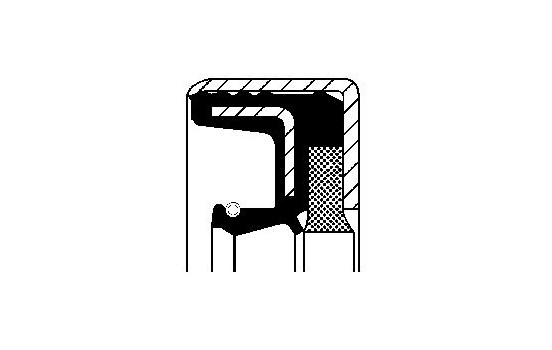 Shaft Seal, differential