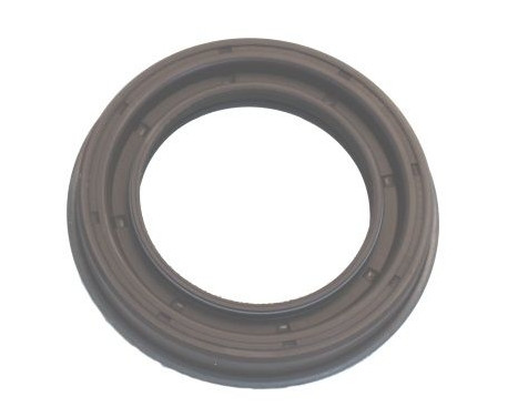 Shaft Seal, differential