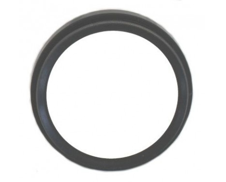 Shaft Seal, differential