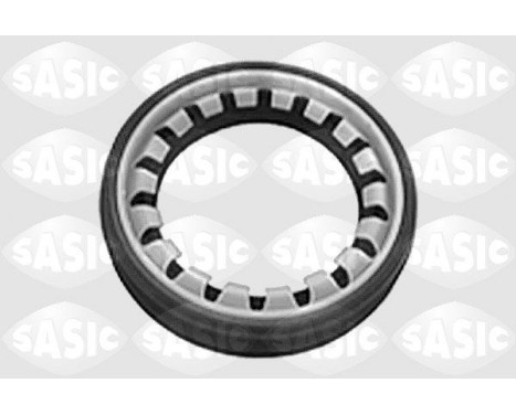 Shaft Seal, differential