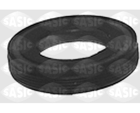 Shaft Seal, differential