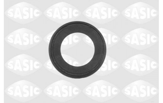 Shaft Seal, differential