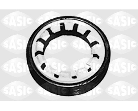 Shaft Seal, differential