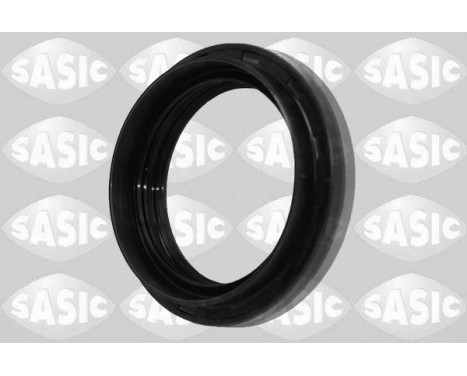 Shaft Seal, differential