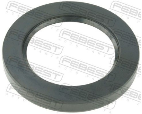 Shaft Seal, differential