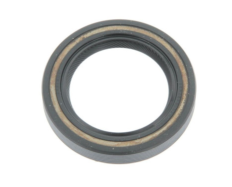 Shaft Seal, differential