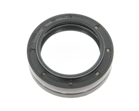 Shaft Seal, differential