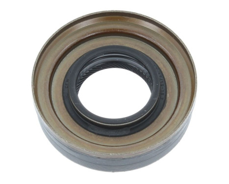 Shaft Seal, differential