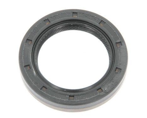 Shaft Seal, differential