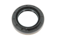 Shaft Seal, differential