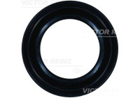 Shaft Seal, differential