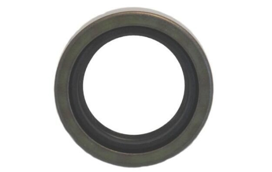Shaft Seal, differential