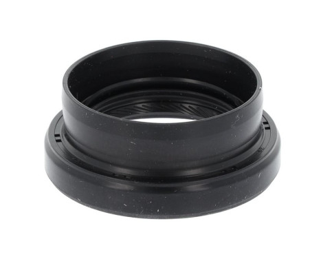 Shaft Seal, differential