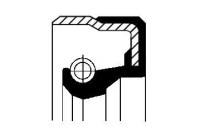 Shaft Seal, differential