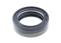 Shaft Seal, differential