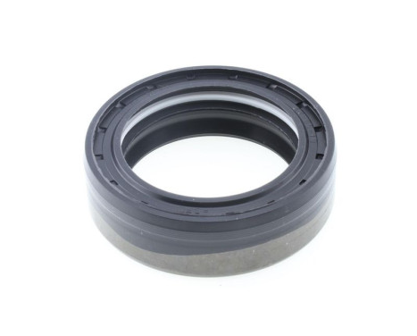 Shaft Seal, differential