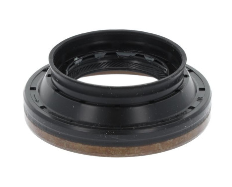 Shaft Seal, differential