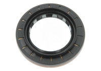 Shaft Seal, differential