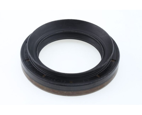 Shaft Seal, differential