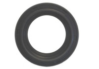 Shaft Seal, differential