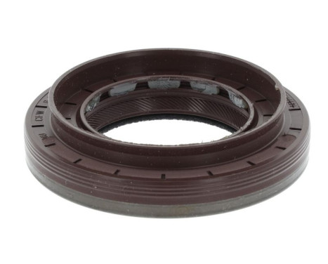 Shaft Seal, differential